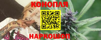прущие грибы Беслан