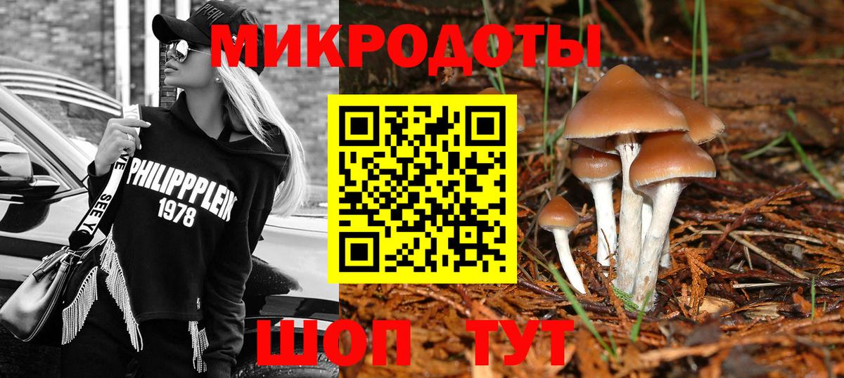 Заволжье  Галлюциногенные грибы Psilocybe  Вход с VPN 